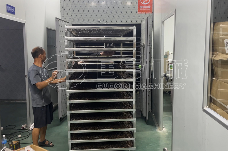 湖南土枇杷烘干现场